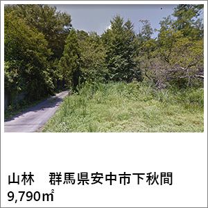 山林 群馬県安中市下秋間 9,790㎡